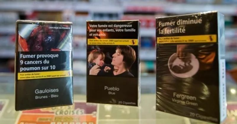 Броят на пушачите e намалял заради по-високите данъци и рекламните ограничения, според СЗО