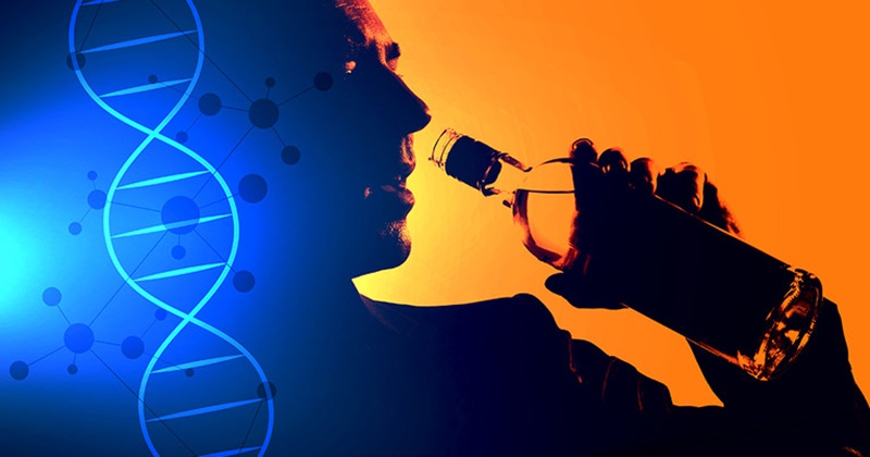 Генетична предразположеност е отговорна за зависимостите към алкохол и цигари?