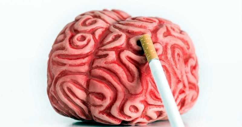 Проучване доказва, че пушенето води до свиване на мозъка