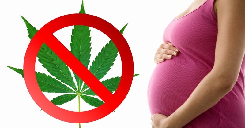 Употребата на марихуана по време на бременност може да повиши рисковете от усложнения